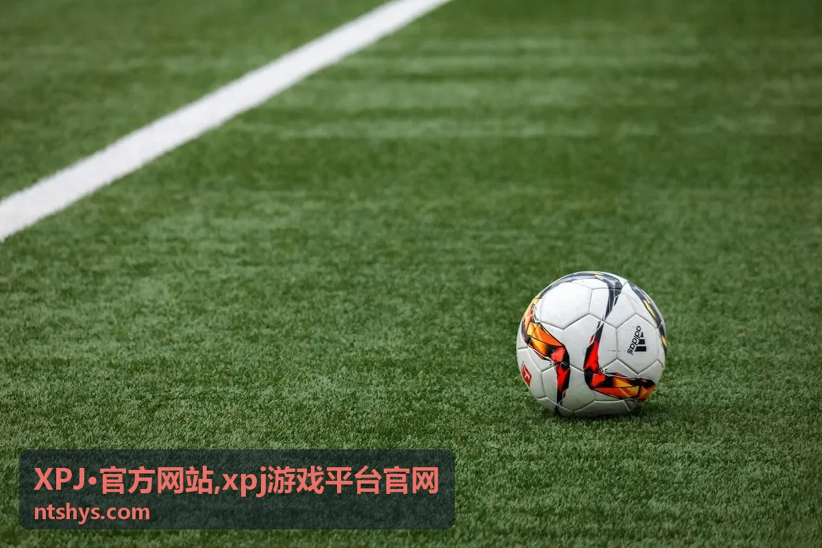 xpj游戏平台官网分类内容说明